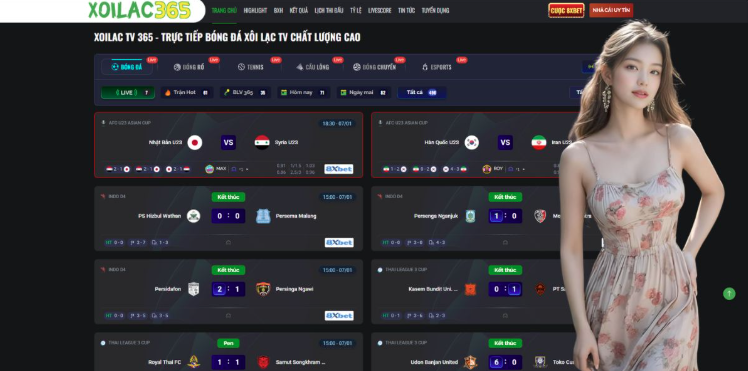 The Emergence of Premium Digital Streaming Hubs